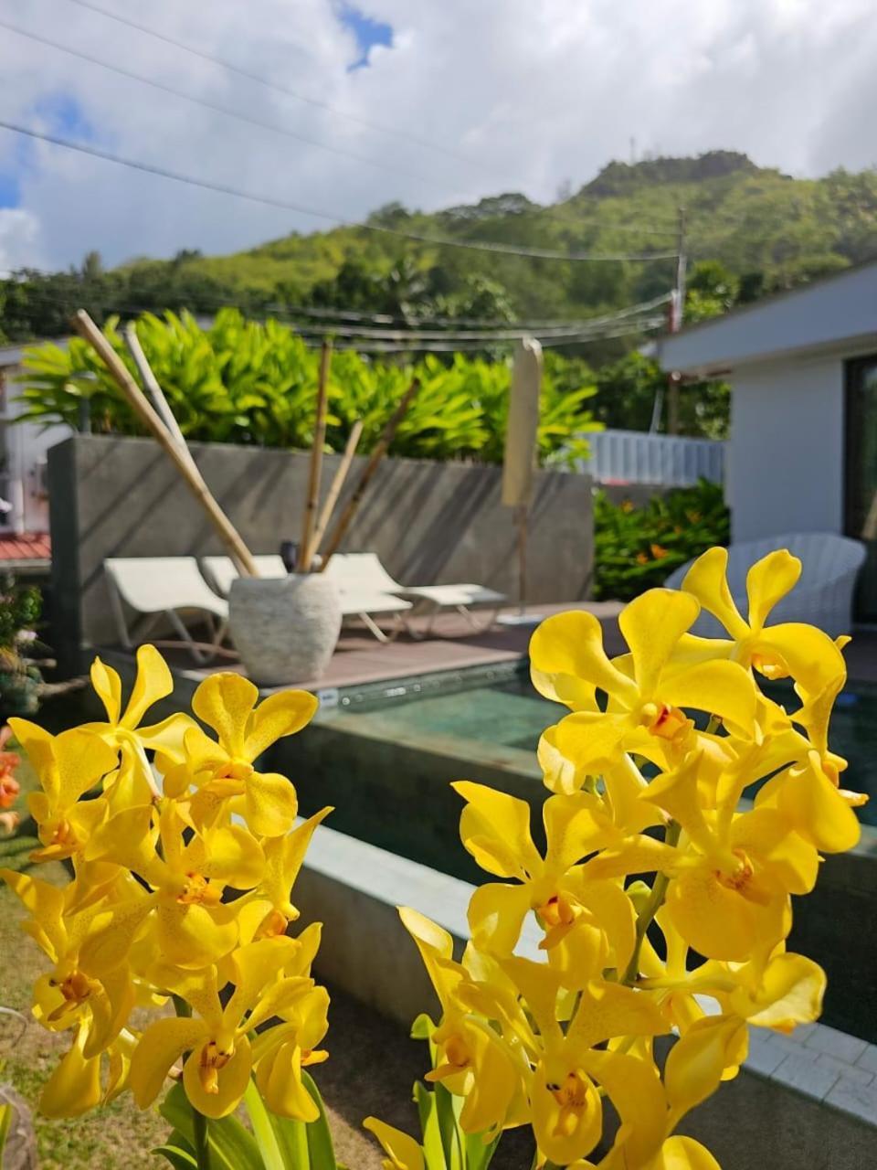 Villa Elodia By Le Duc Hotel & Villas Pointe Au Sel エクステリア 写真